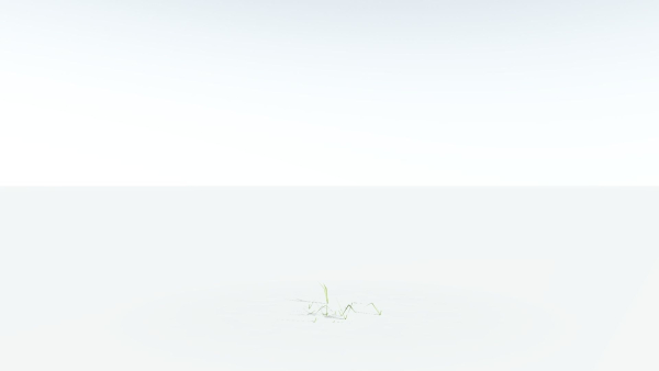 EVERYPlant Pendulous Sedge LowPoly 4 --14 Models--