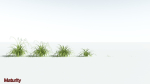 EVERYPlant Pendulous Sedge LowPoly 4 --14 Models--