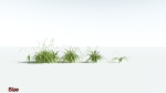EVERYPlant Pendulous Sedge LowPoly 4 --14 Models--