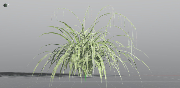 EVERYPlant Pendulous Sedge LowPoly 4 --14 Models--