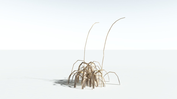 EVERYPlant Pendulous Sedge LowPoly 4 --14 Models--