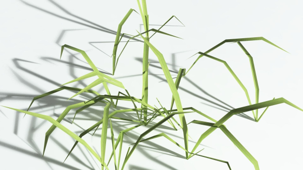 EVERYPlant Pendulous Sedge LowPoly 4 --14 Models--