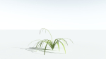 EVERYPlant Pendulous Sedge LowPoly 4 --14 Models--