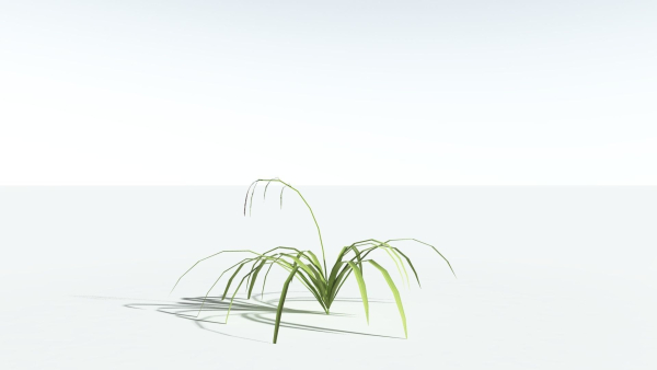 EVERYPlant Pendulous Sedge LowPoly 4 --14 Models--