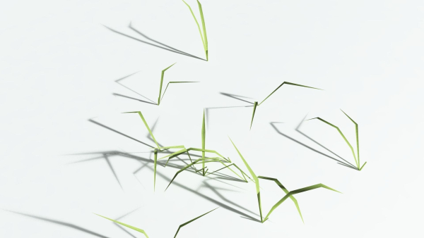 EVERYPlant Pendulous Sedge LowPoly 4 --14 Models--
