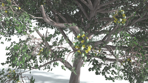 EVERYPlant Portia Tree 1 --14 Models--