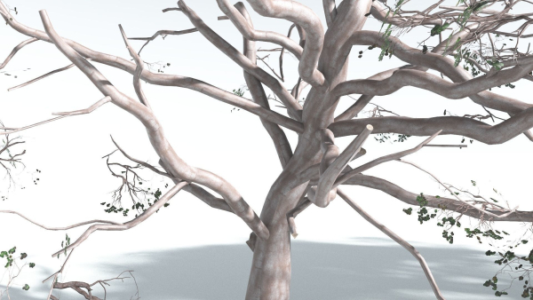 EVERYPlant Portia Tree 1 --14 Models--