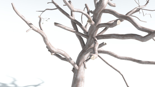 EVERYPlant Portia Tree 1 --14 Models--