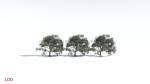 EVERYPlant Portia Tree 1 --14 Models--