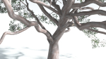EVERYPlant Portia Tree 1 --14 Models--