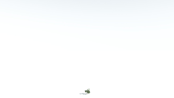 EVERYPlant Portia Tree 1 --14 Models--