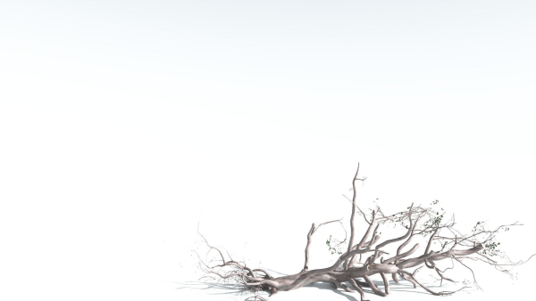 EVERYPlant Portia Tree 1 --14 Models--