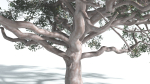 EVERYPlant Portia Tree 2 --14 Models--