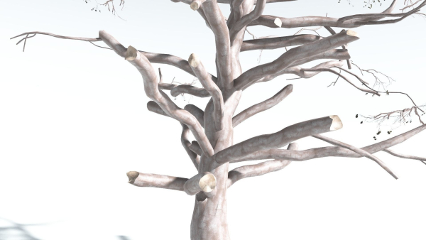 EVERYPlant Portia Tree 2 --14 Models--