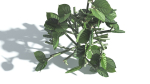 EVERYPlant Portia Tree 2 --14 Models--