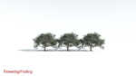 EVERYPlant Portia Tree 2 --14 Models--