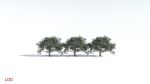 EVERYPlant Portia Tree 2 --14 Models--