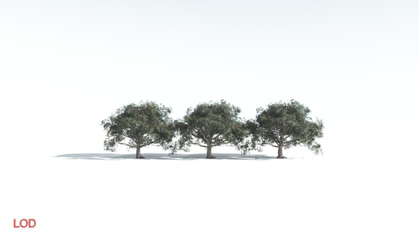 EVERYPlant Portia Tree 2 --14 Models--