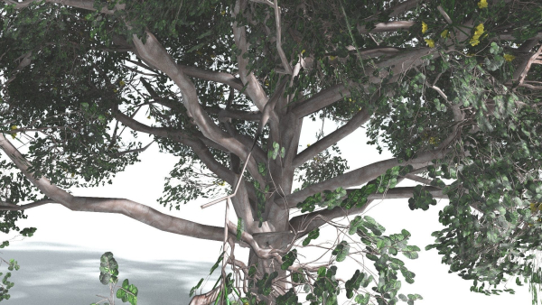 EVERYPlant Portia Tree 2 --14 Models--