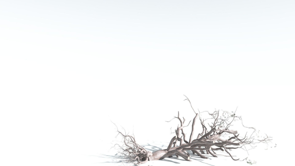 EVERYPlant Portia Tree 2 --14 Models--