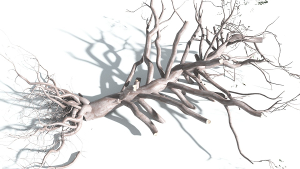 EVERYPlant Portia Tree 2 --14 Models--