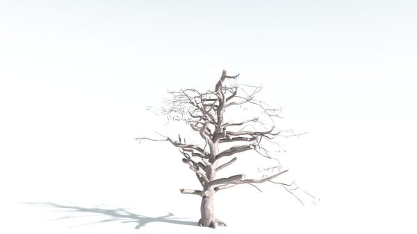 EVERYPlant Portia Tree 2 --14 Models--