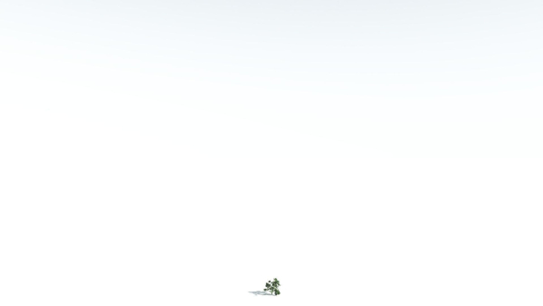 EVERYPlant Portia Tree 2 --14 Models--