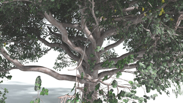 EVERYPlant Portia Tree 2 --14 Models--