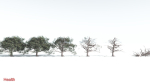 EVERYPlant Portia Tree 2 --14 Models--