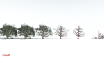 EVERYPlant Portia Tree 3 --14 Models--