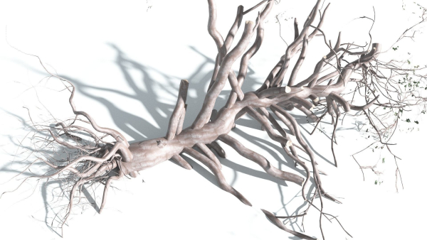 EVERYPlant Portia Tree 3 --14 Models--