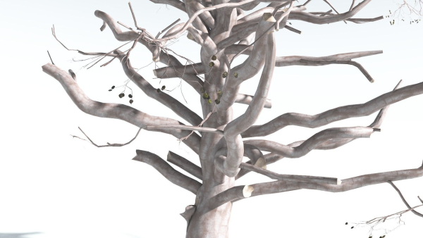 EVERYPlant Portia Tree 3 --14 Models--