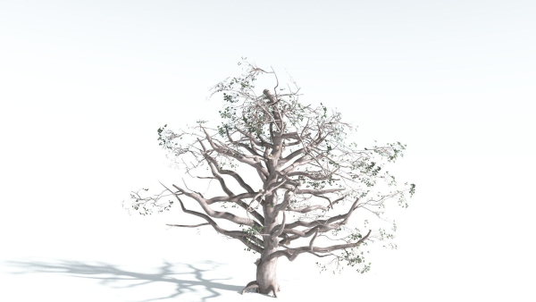 EVERYPlant Portia Tree 3 --14 Models--