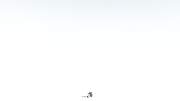 EVERYPlant Portia Tree 3 --14 Models--