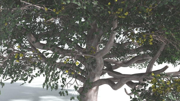 EVERYPlant Portia Tree 3 --14 Models--