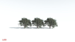 EVERYPlant Portia Tree 3 --14 Models--