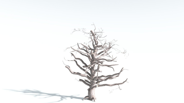 EVERYPlant Portia Tree 3 --14 Models--
