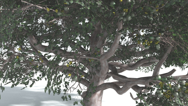EVERYPlant Portia Tree 3 --14 Models--