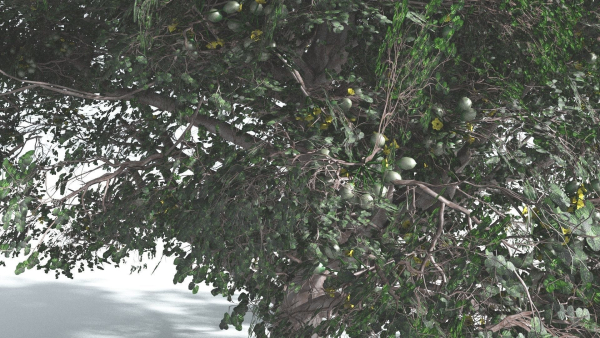 EVERYPlant Portia Tree 3 --14 Models--