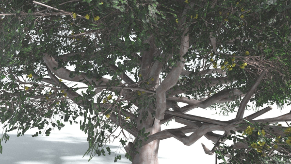 EVERYPlant Portia Tree 3 --14 Models--