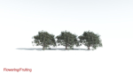 EVERYPlant Portia Tree 3 --14 Models--