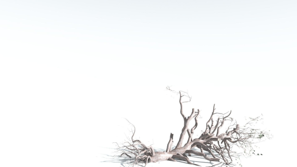 EVERYPlant Portia Tree 3 --14 Models--