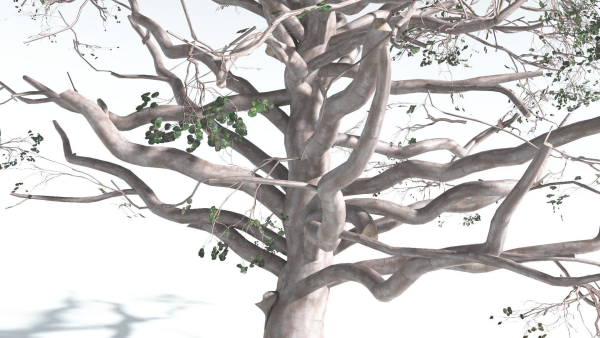 EVERYPlant Portia Tree 3 --14 Models--
