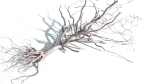 EVERYPlant Portia Tree 4 --14 Models--