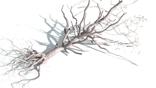 EVERYPlant Portia Tree 4 --14 Models--