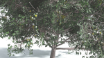 EVERYPlant Portia Tree 4 --14 Models--