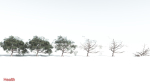 EVERYPlant Portia Tree 4 --14 Models--
