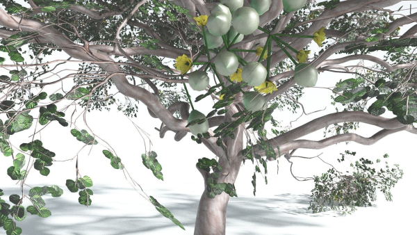 EVERYPlant Portia Tree 4 --14 Models--