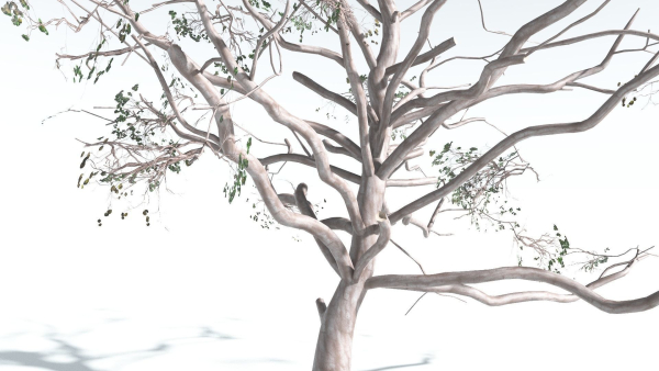 EVERYPlant Portia Tree 4 --14 Models--
