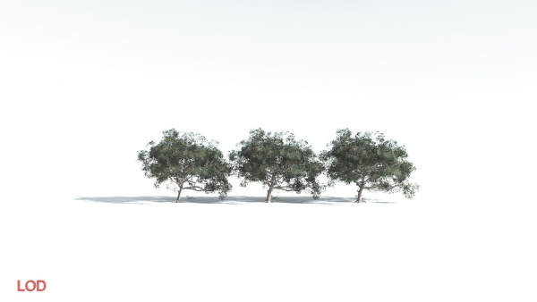 EVERYPlant Portia Tree 4 --14 Models--